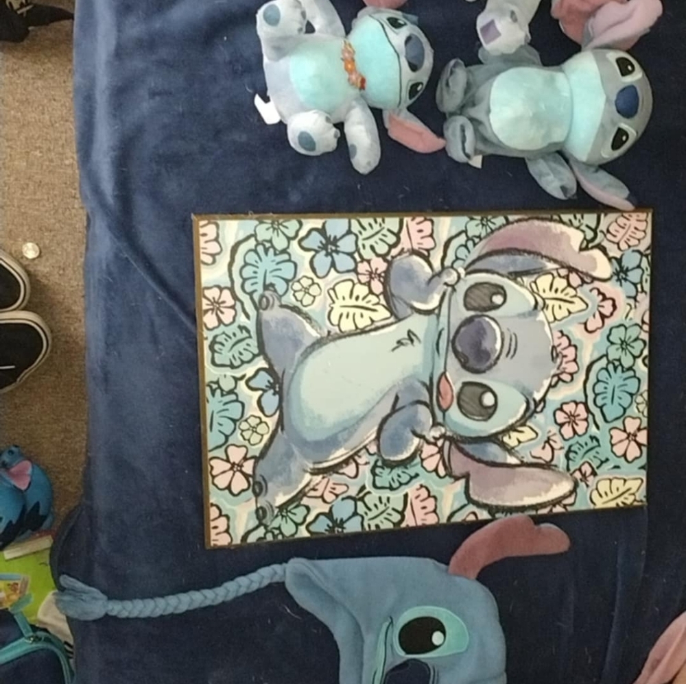 Stitch items - Picture 9 of 11